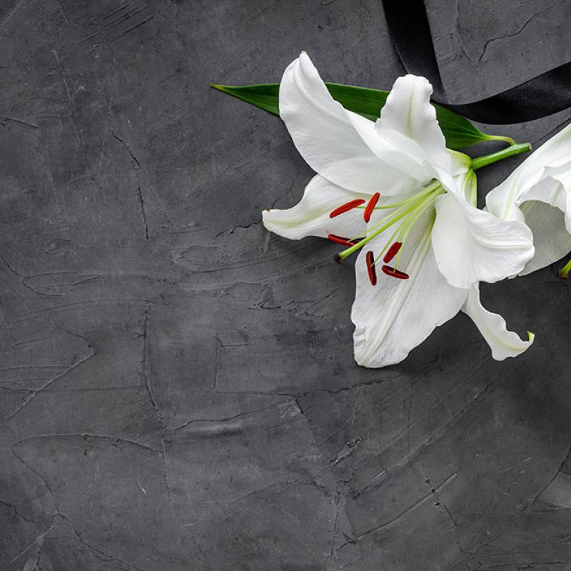 White lilies on a dark textured background with a black ribbon, creating a serene and elegant atmosphere.